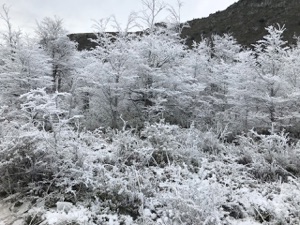 Leones valley in winter